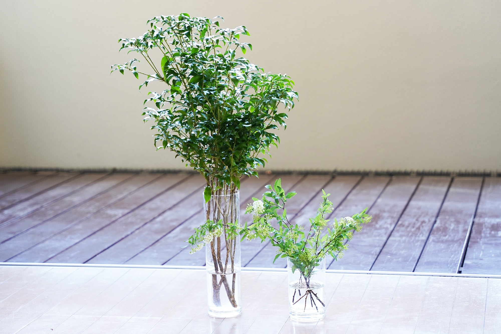 枝もの花瓶の通販｜種類一覧 – WOOTANG 水耕栽培の観葉植物
