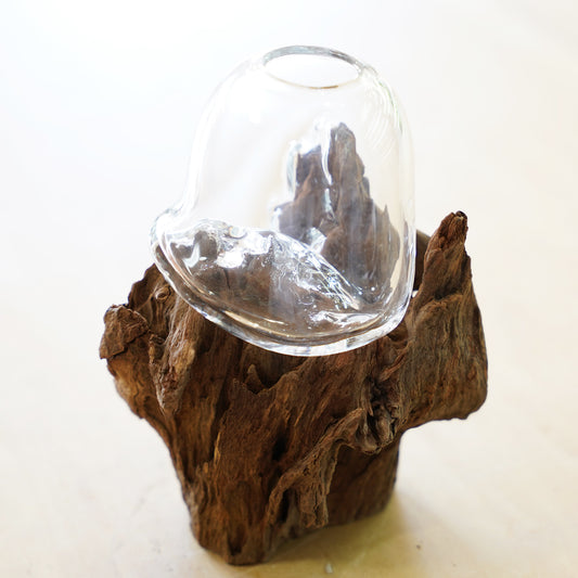 オリジナル植物Vase(流木-1)