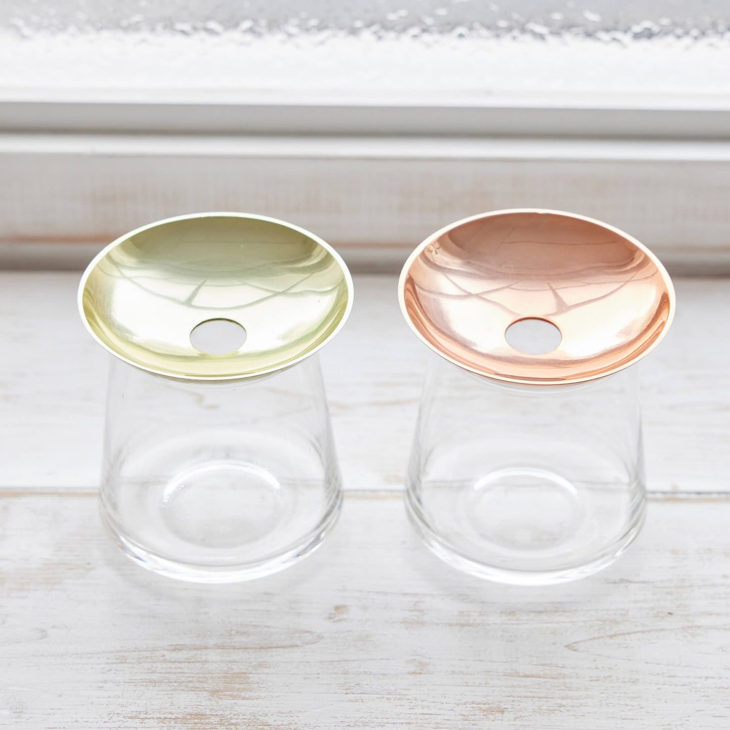 アボカドの種の水耕栽培