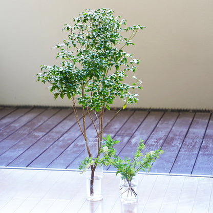 枝ものVase