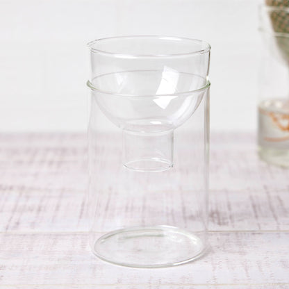 サボテンを水耕栽培で育てるための器