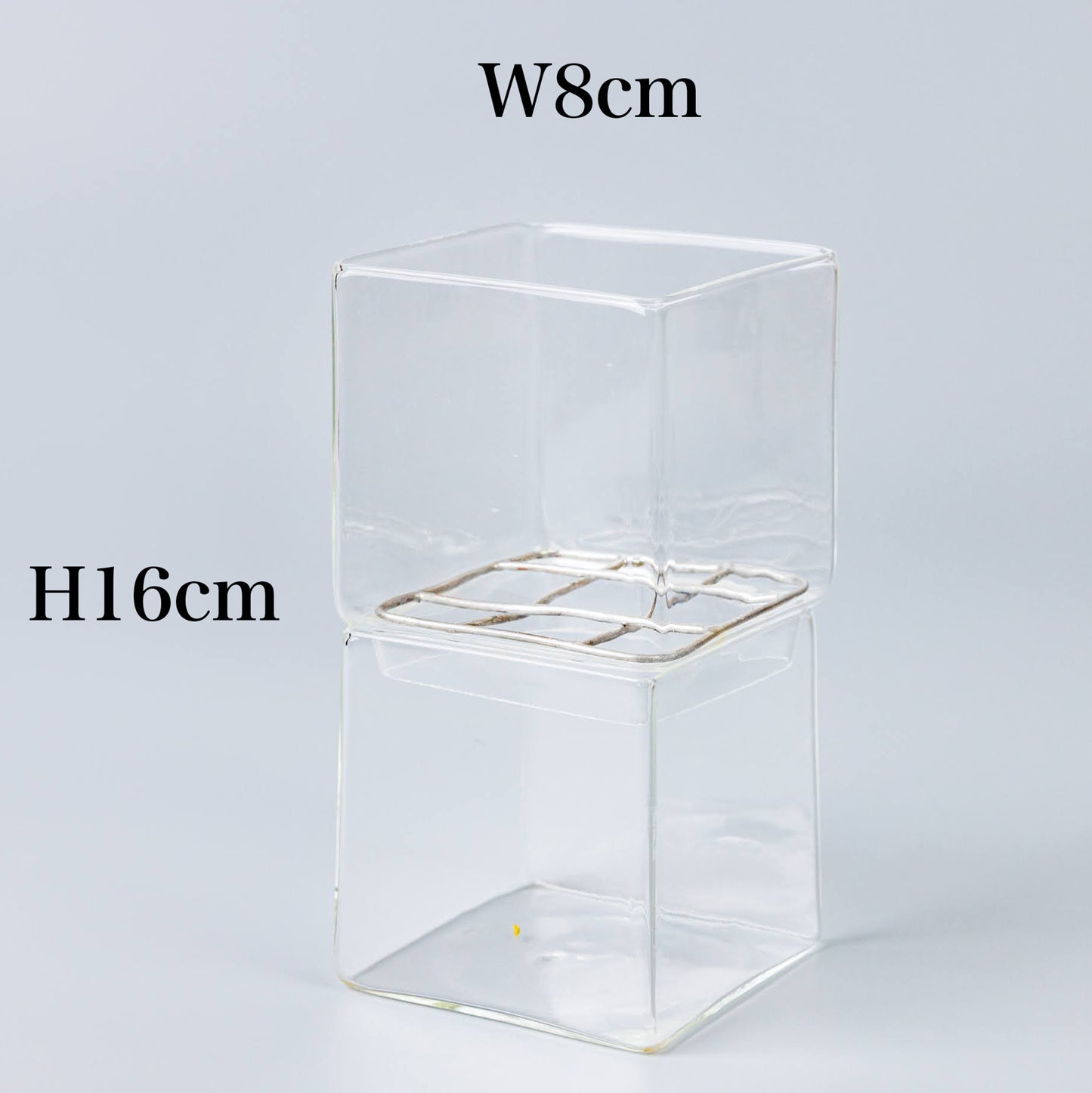 サボテンの水耕栽培の器