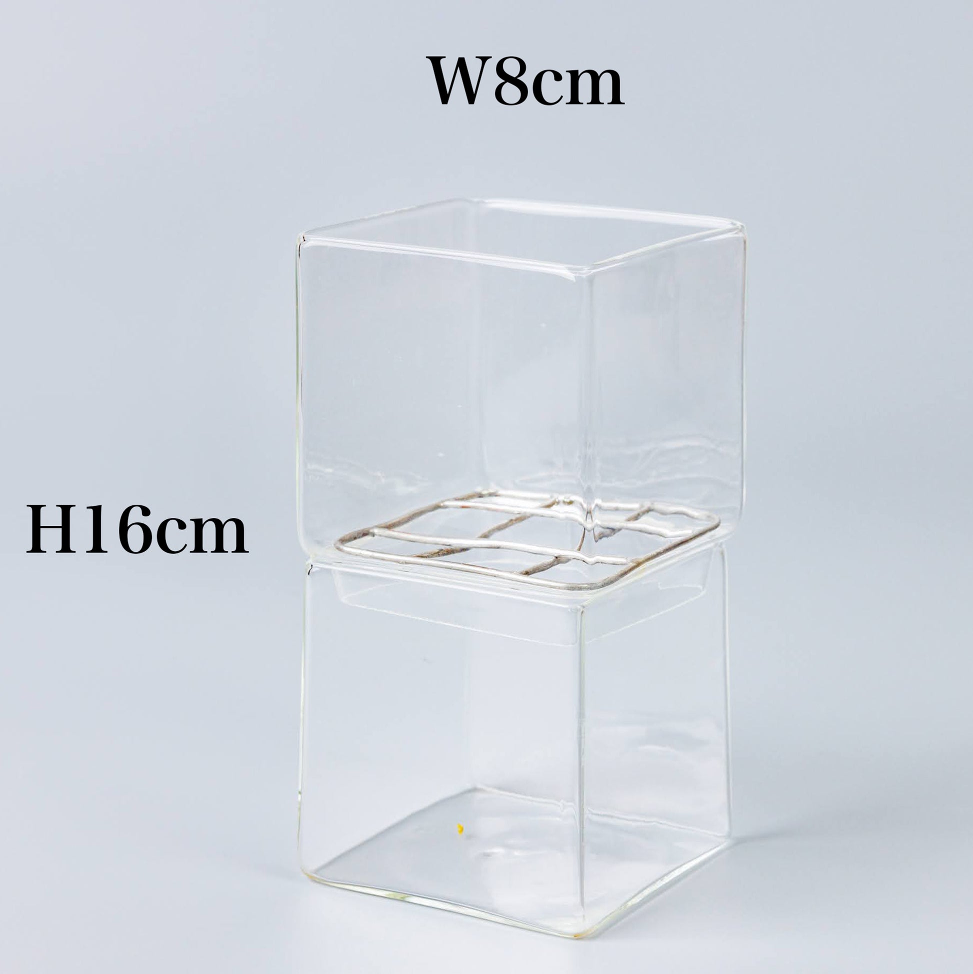 サボテンの水耕栽培の器