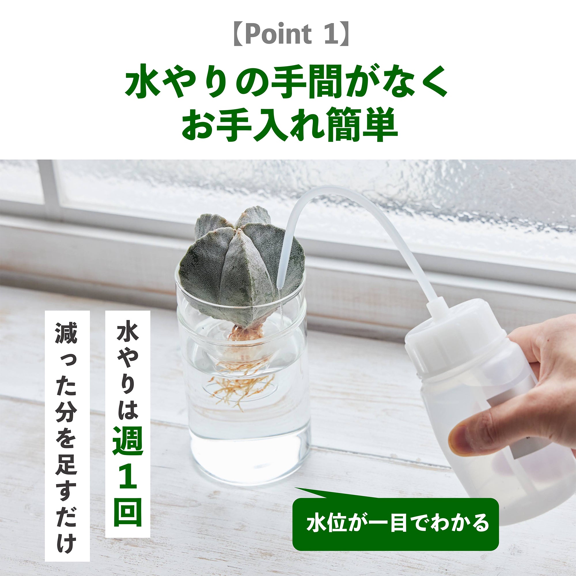 水耕栽培のメリット｜水やりの手間がない
