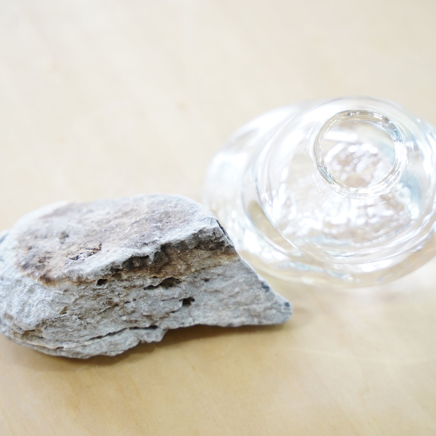 オリジナル植物Vase（石-8）