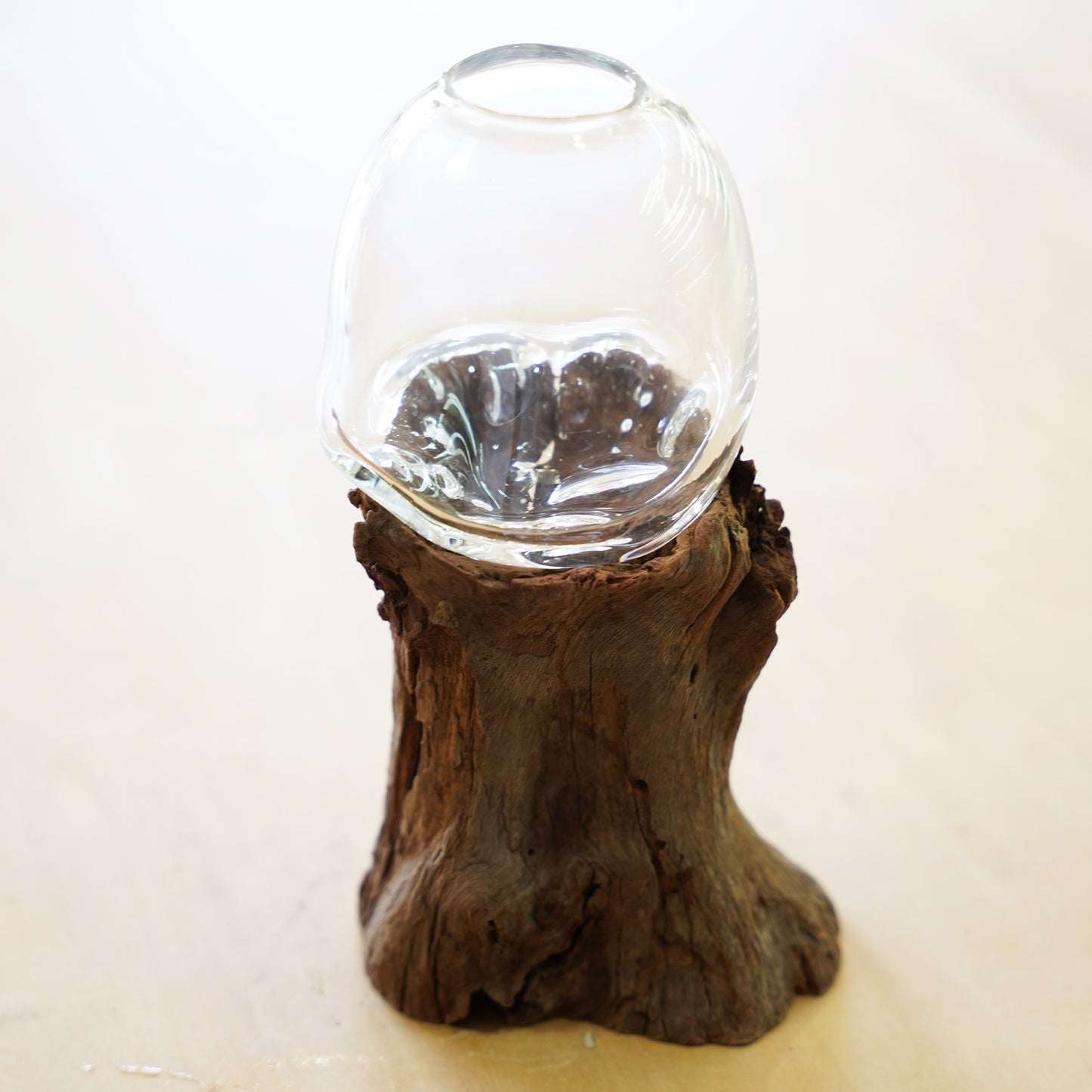 オリジナル植物Vase（流木-2）