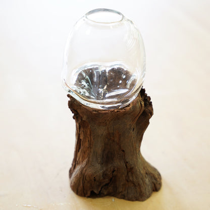 オリジナル植物Vase（流木-2）