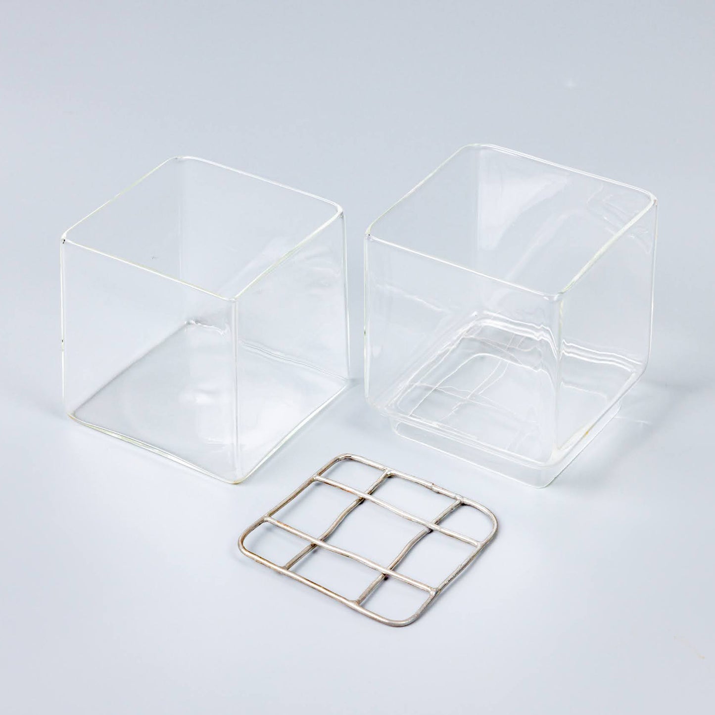 サボテンの水耕栽培の器