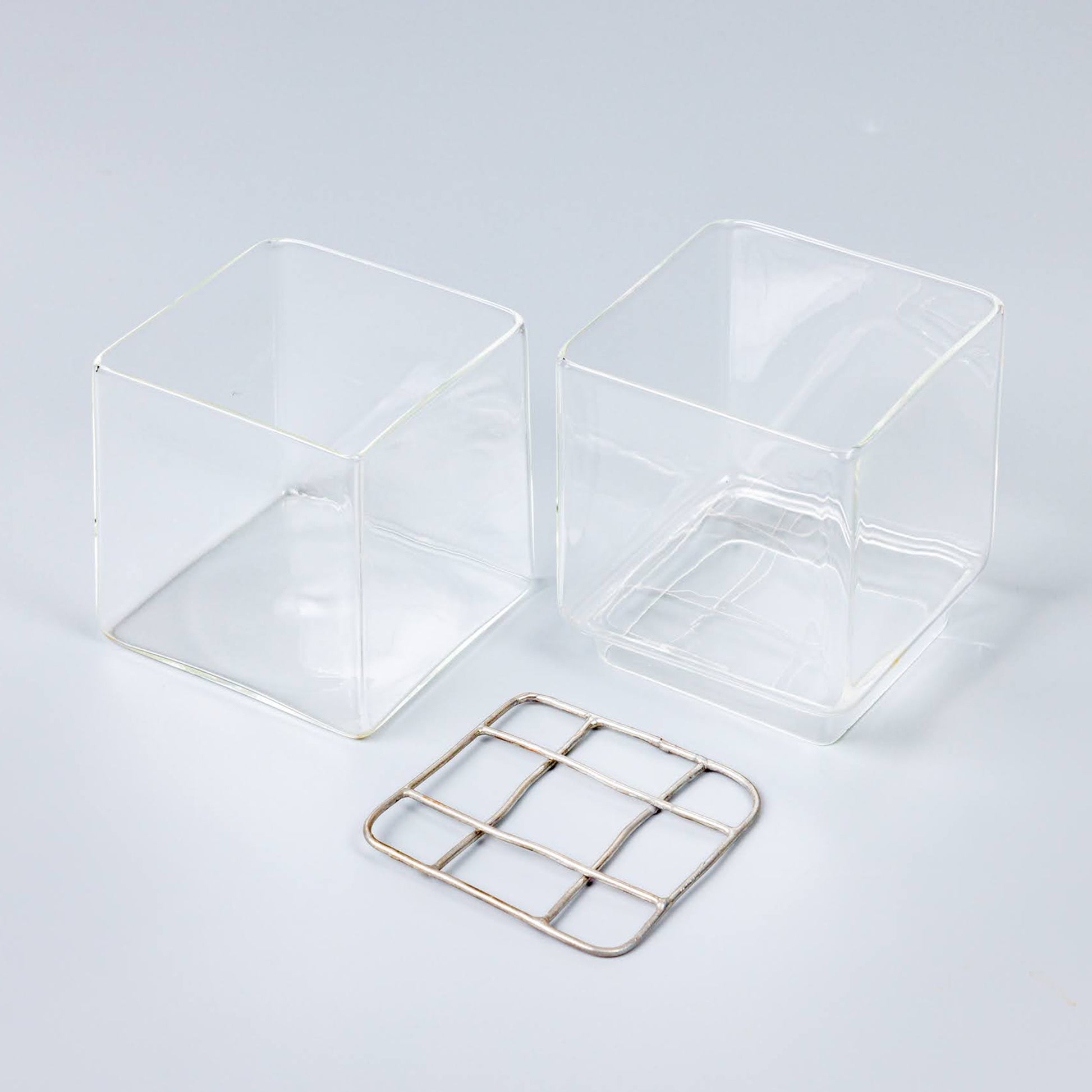 サボテンの水耕栽培の器