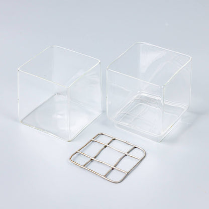 サボテンの水耕栽培の器