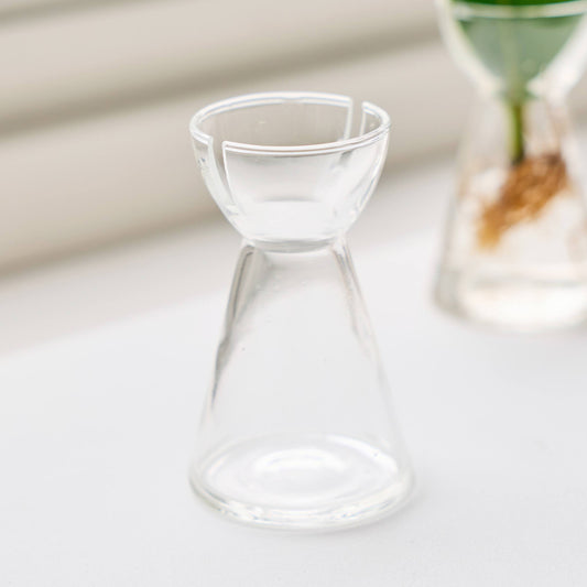 リーフ栽培Vase（発根済みエラスティカ付き）