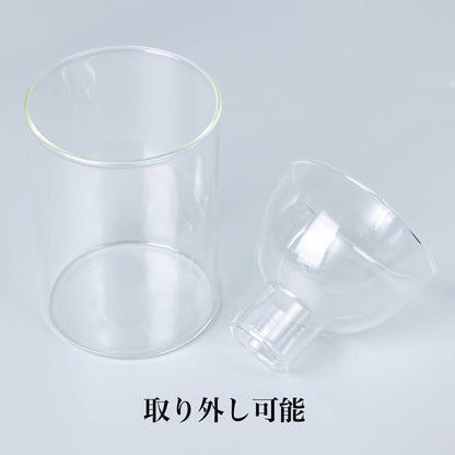 サボテンの水耕栽培用の器