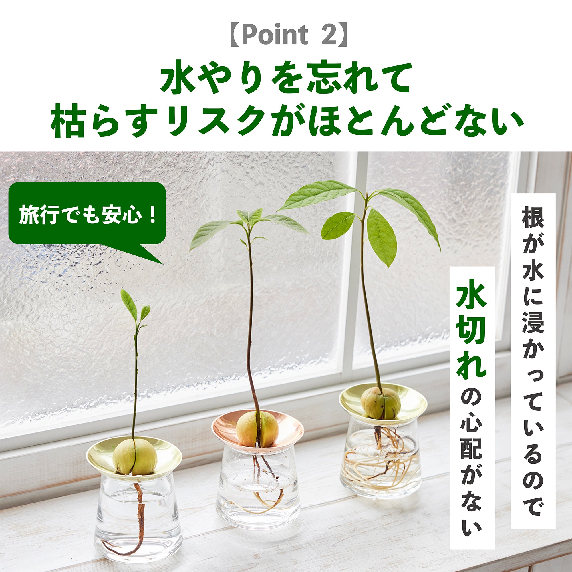 230317_TB3182 (1).jpeg