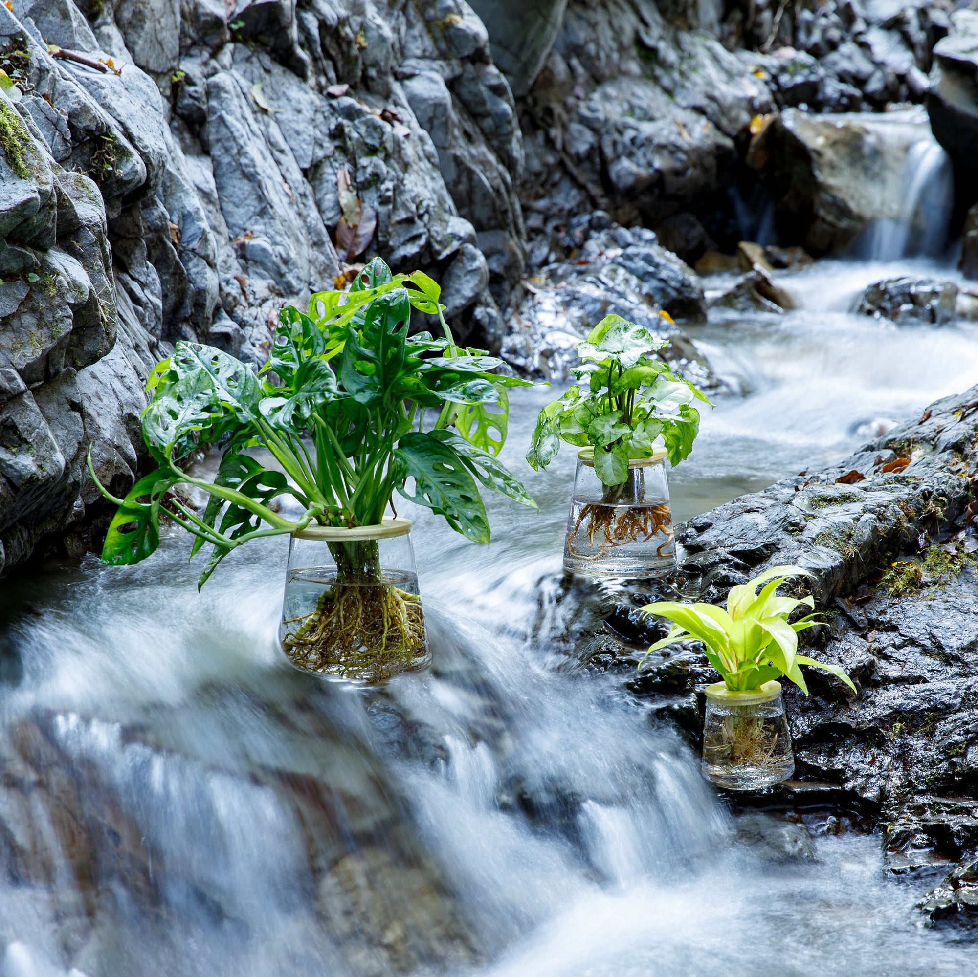 フラワーVase ／花瓶（髑髏ドクロ） – WOOTANG 水耕栽培の観葉植物