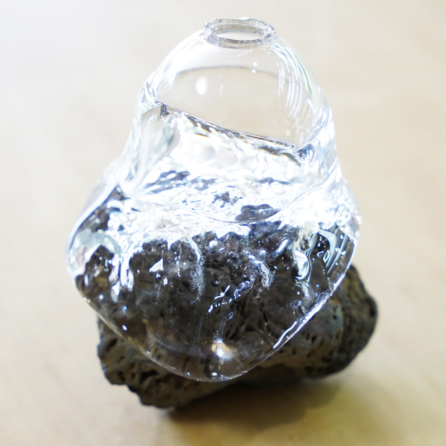 オリジナル植物Vase（石-3）