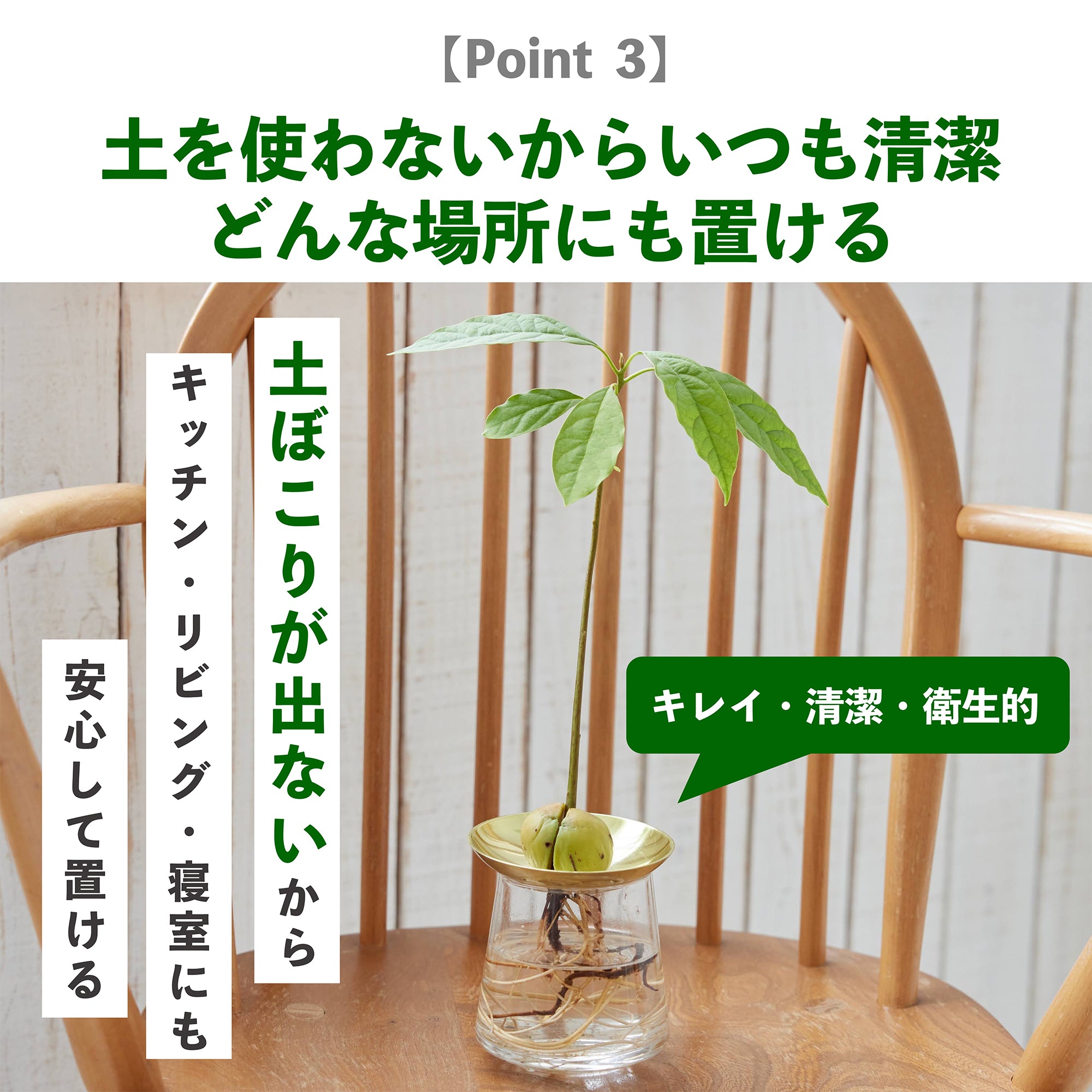 230317_TB3182 (1).jpeg