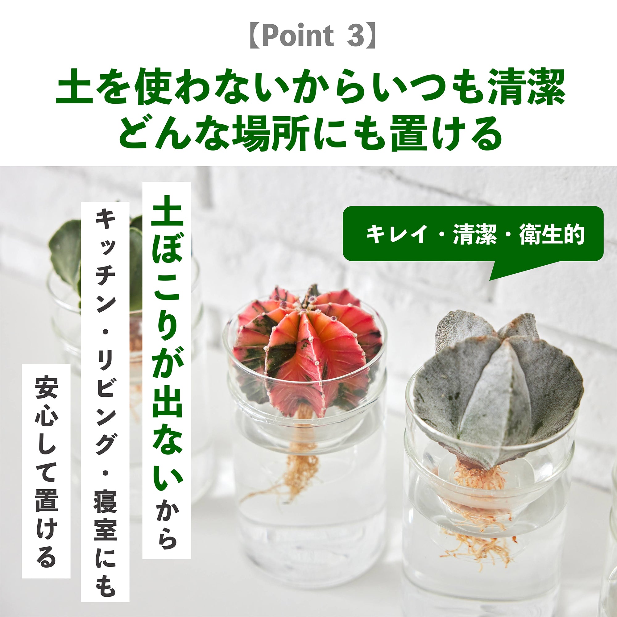 水耕栽培のメリット｜いつも清潔