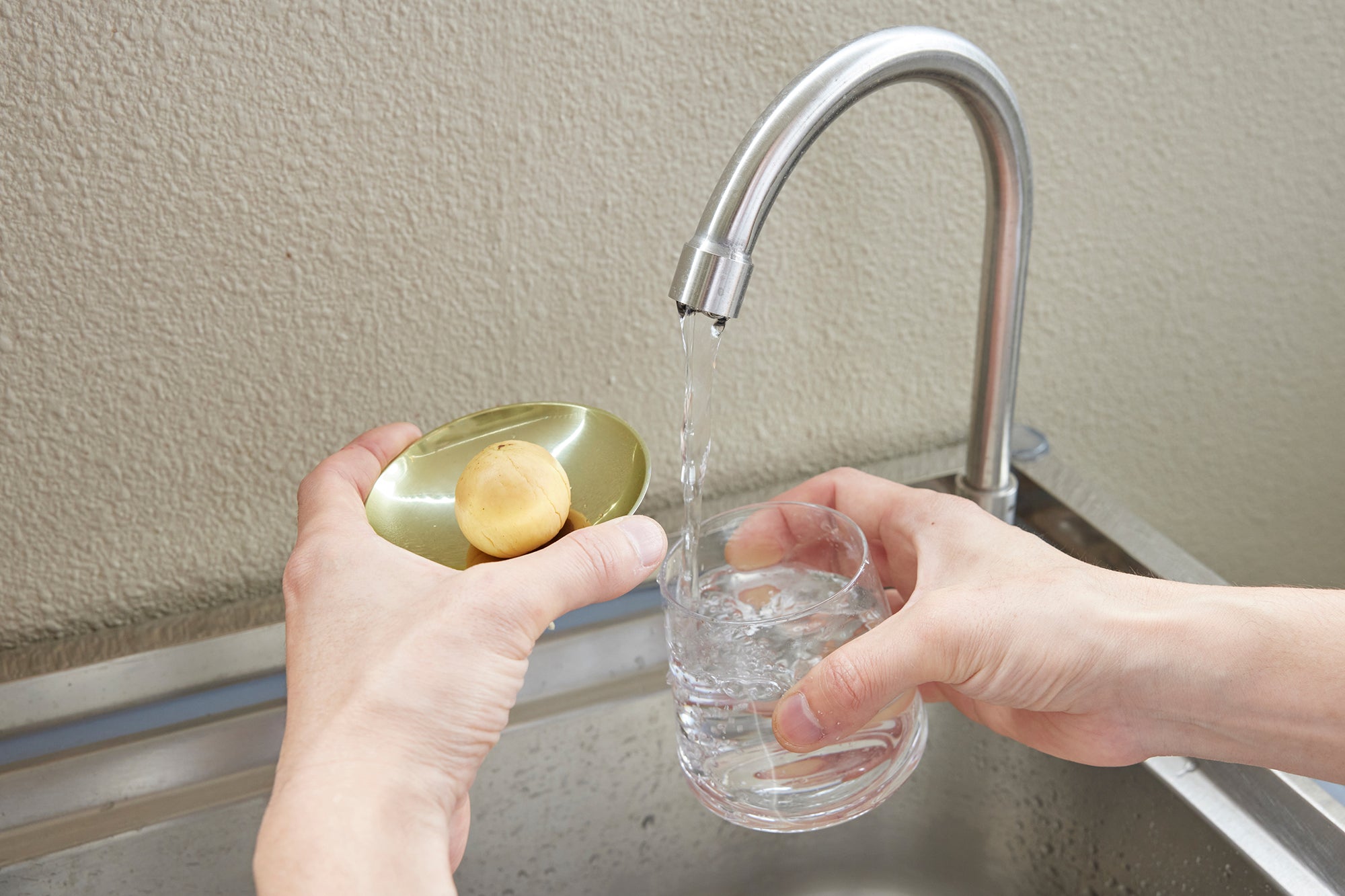 アボカドの種の水耕栽培