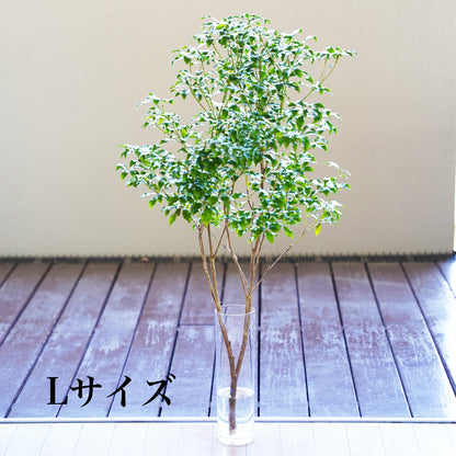 枝ものVase
