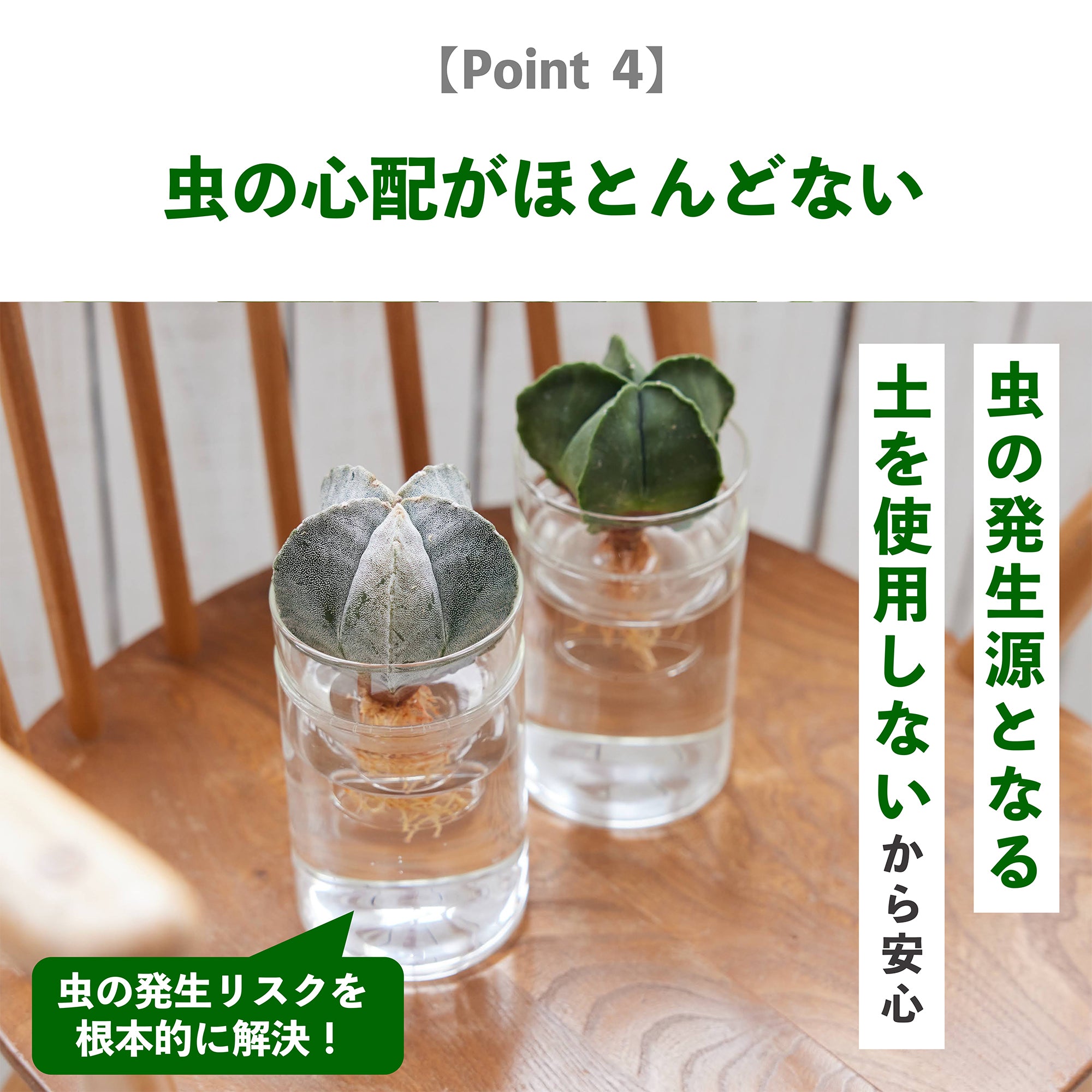 水耕栽培のメリット｜虫の心配がほとんどない
