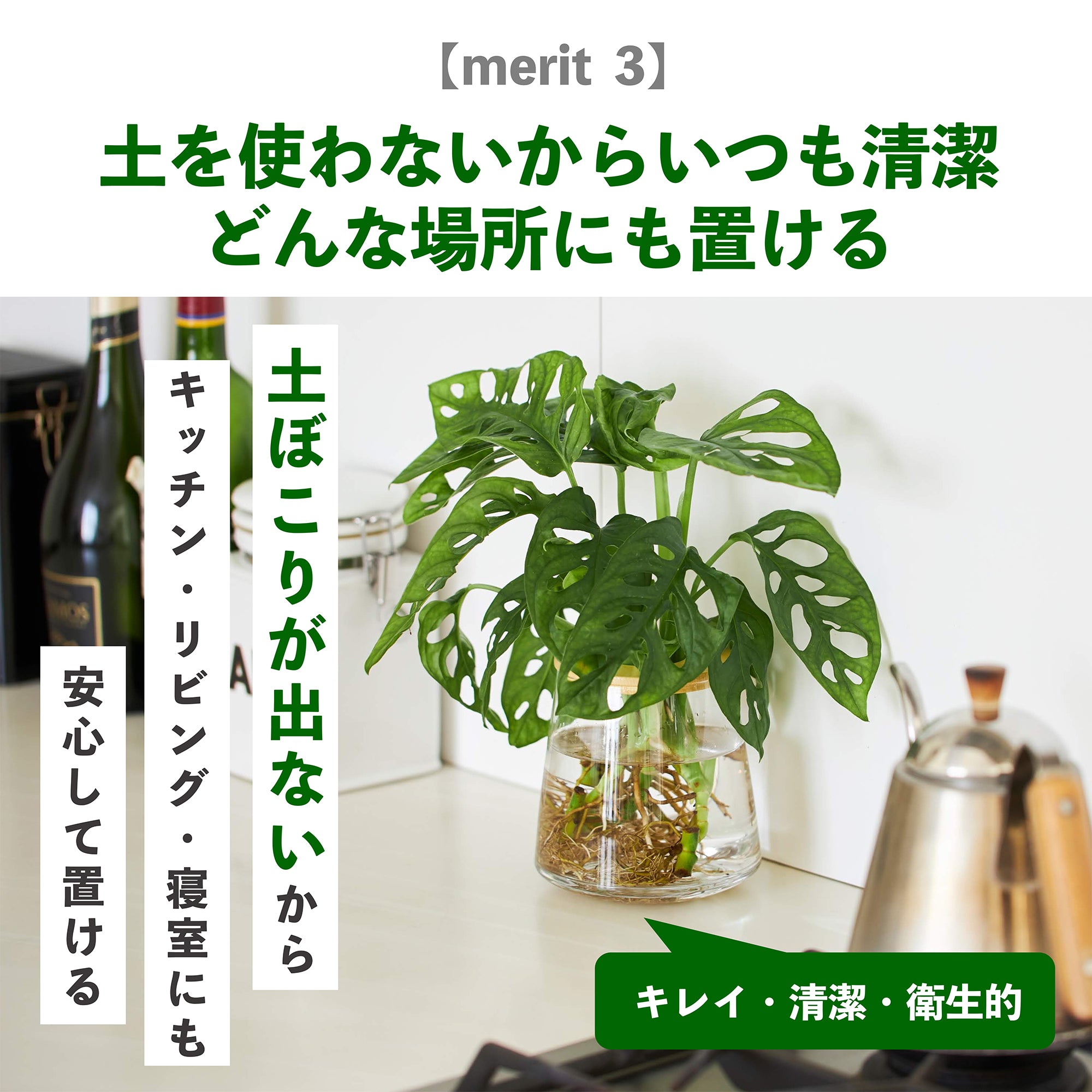 WOOTANGの水耕栽培の観葉植物のメリット