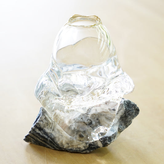 オリジナル植物Vase（石-2）