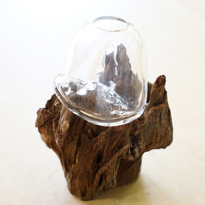 オリジナル植物Vase（流木-1）