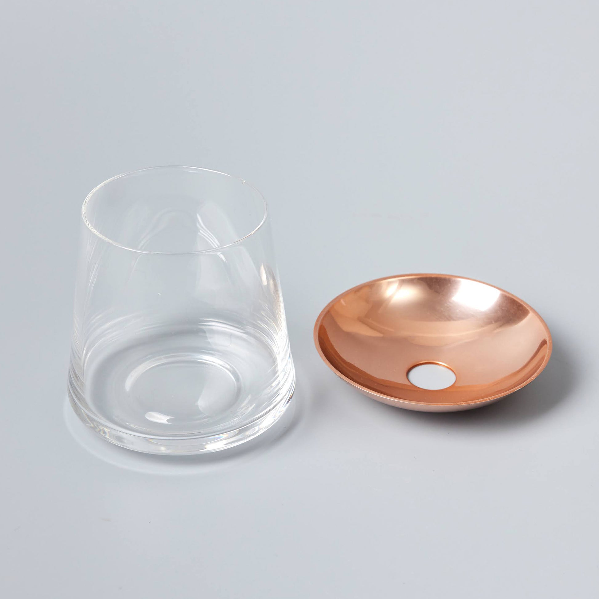 アボカドの種の水耕栽培