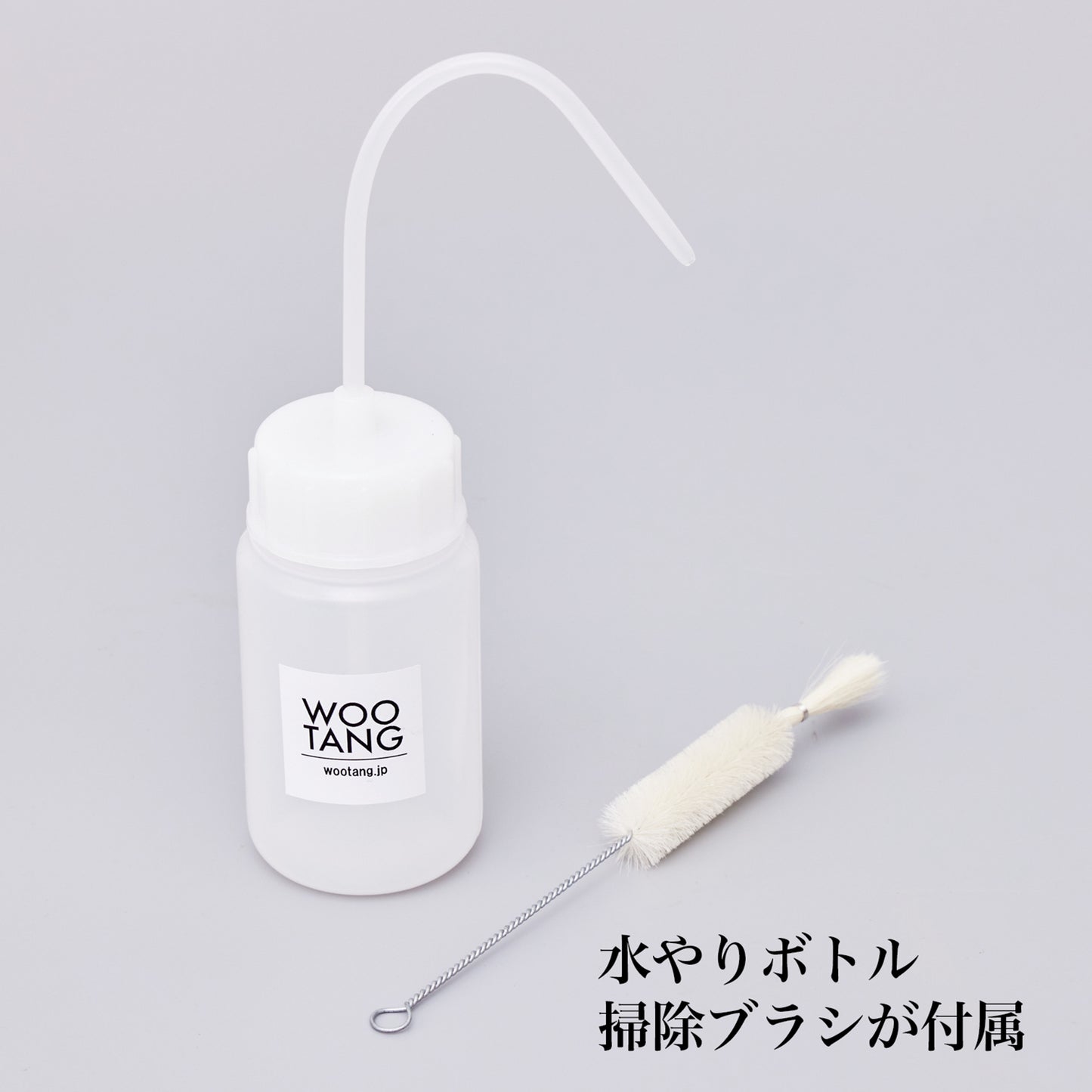 オリジナル植物Vase（石-8）