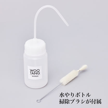 オリジナル植物Vase（石-8）