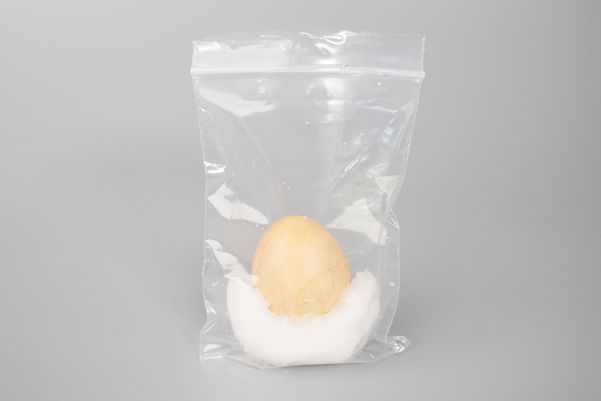 アボカドの種の水耕栽培