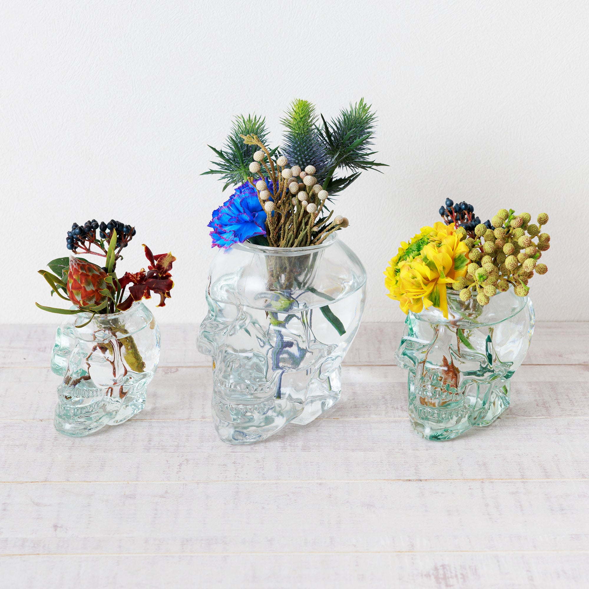 フラワーVase ／花瓶（髑髏ドクロ） – WOOTANG 水耕栽培の観葉植物