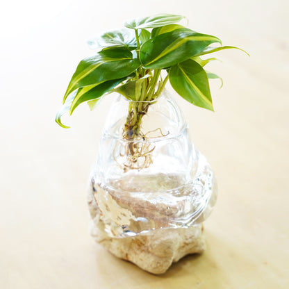 オリジナル植物Vase（石-4）