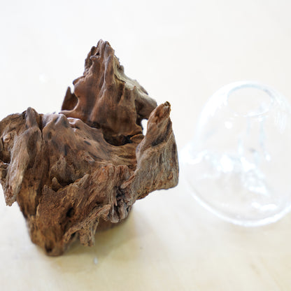 オリジナル植物Vase（流木-1）