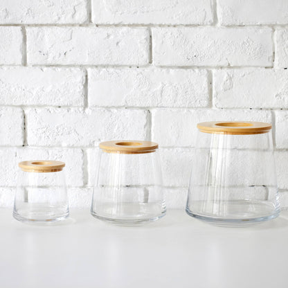 観葉植物の水耕栽培用の器