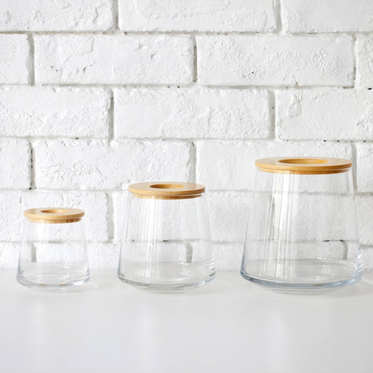 観葉植物の水耕栽培用の器