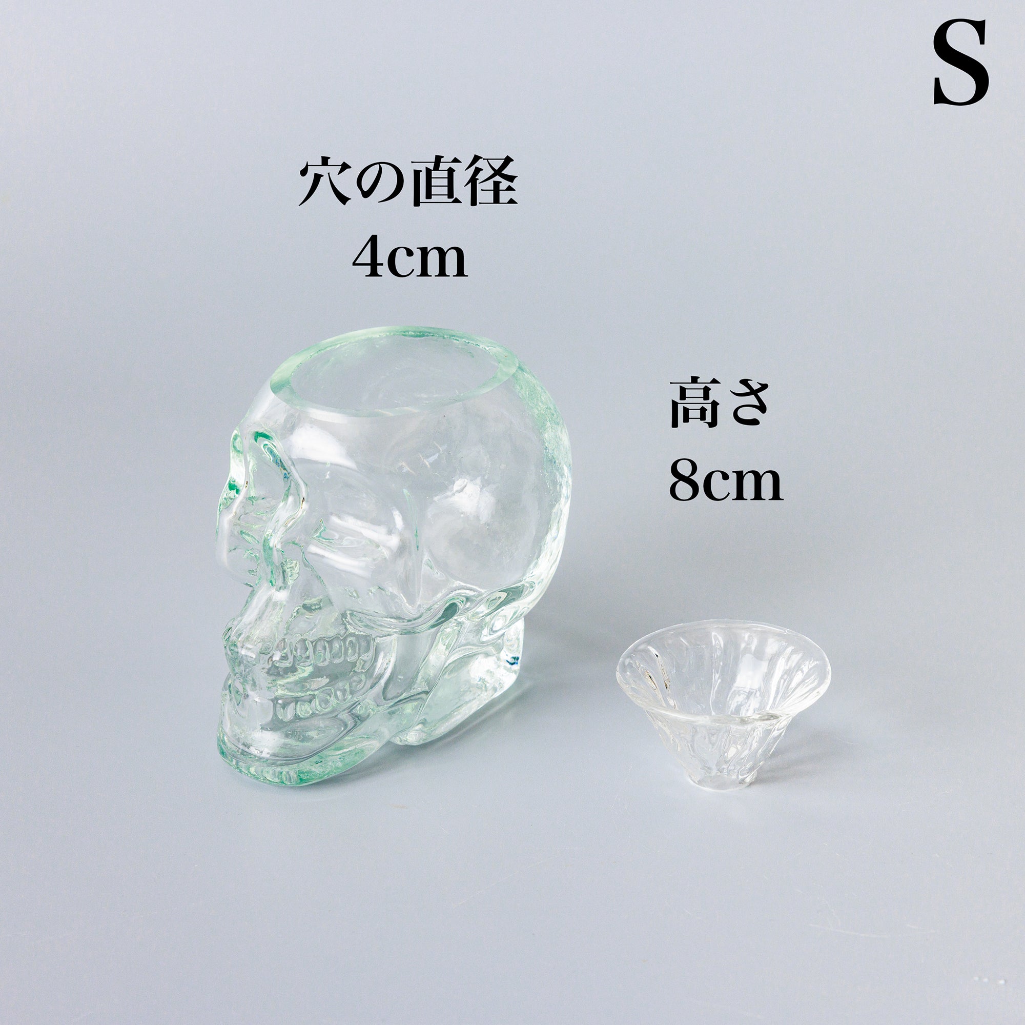 フラワーVase ／花瓶（髑髏ドクロ） – WOOTANG 水耕栽培の観葉植物