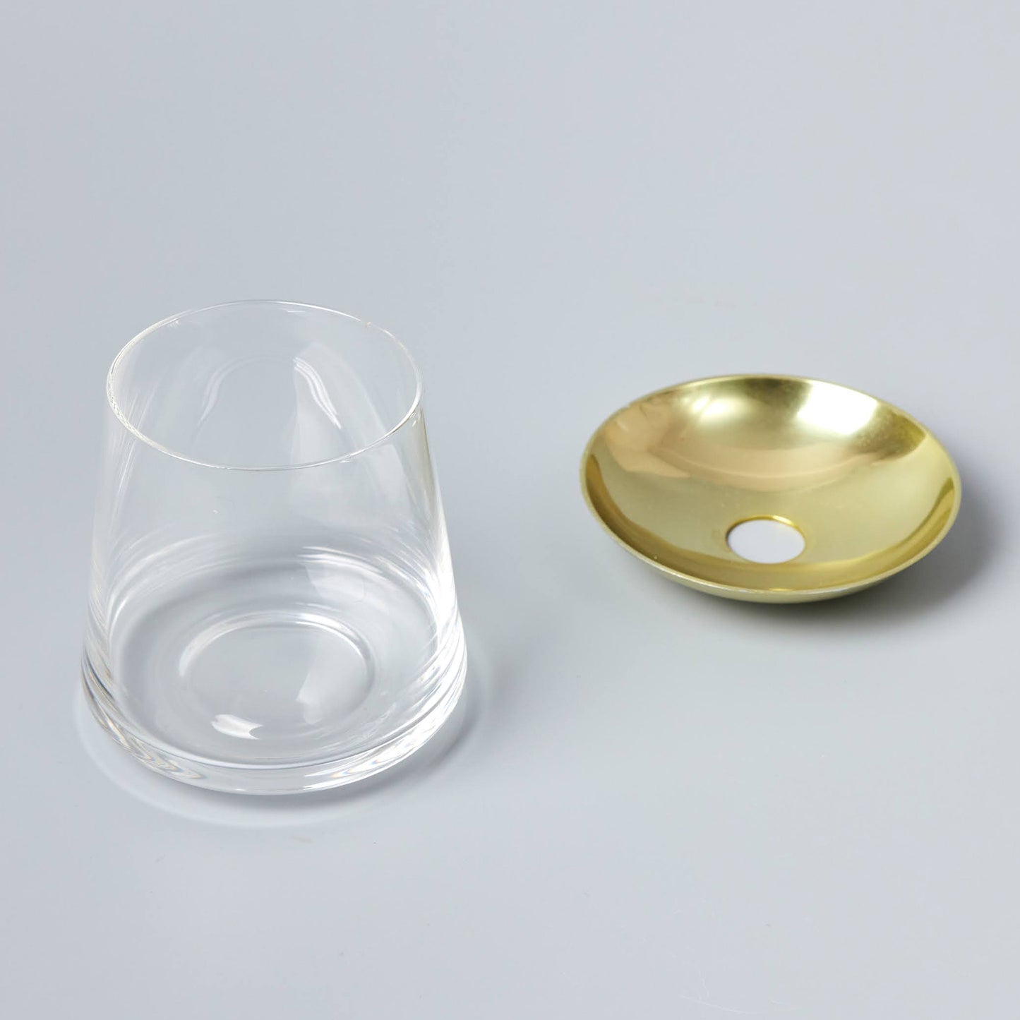 アボカドの種の水耕栽培