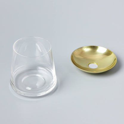 アボカドの種の水耕栽培