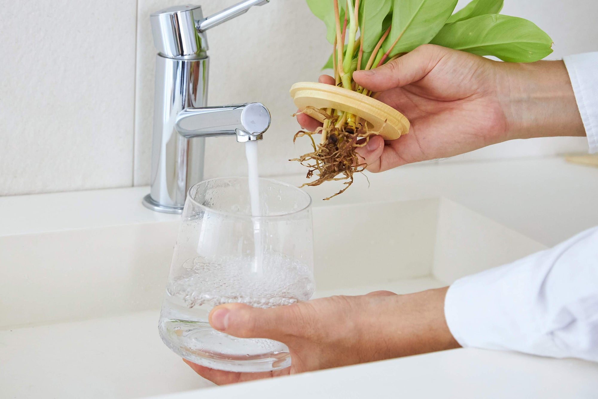 水耕栽培の観葉植物の器に水を入れている様子