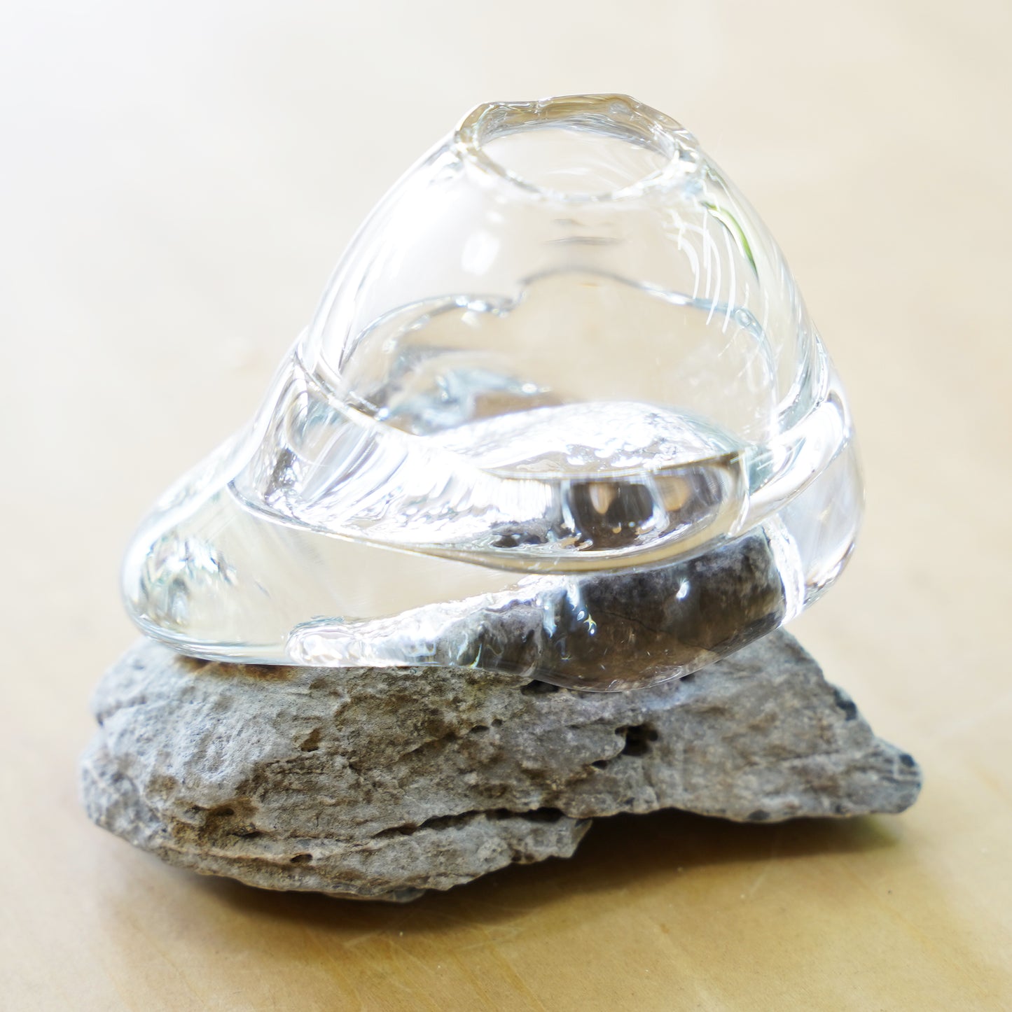 オリジナル植物Vase（石-8）