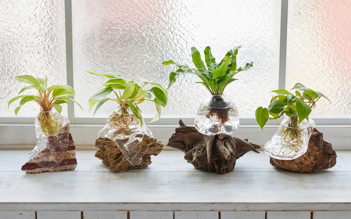 WOOTANGのオリジナル植物Vase