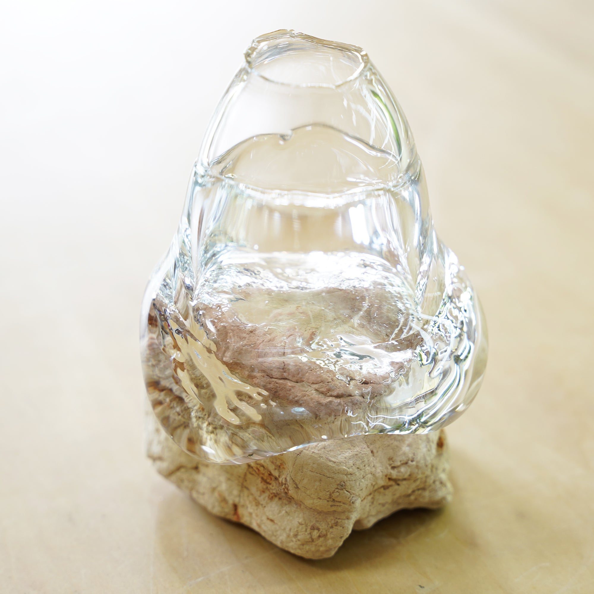 オリジナル植物Vase（石-4）｜観葉植物の水耕栽培 – WOOTANG 水耕栽培