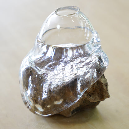 オリジナル植物Vase（石-6）