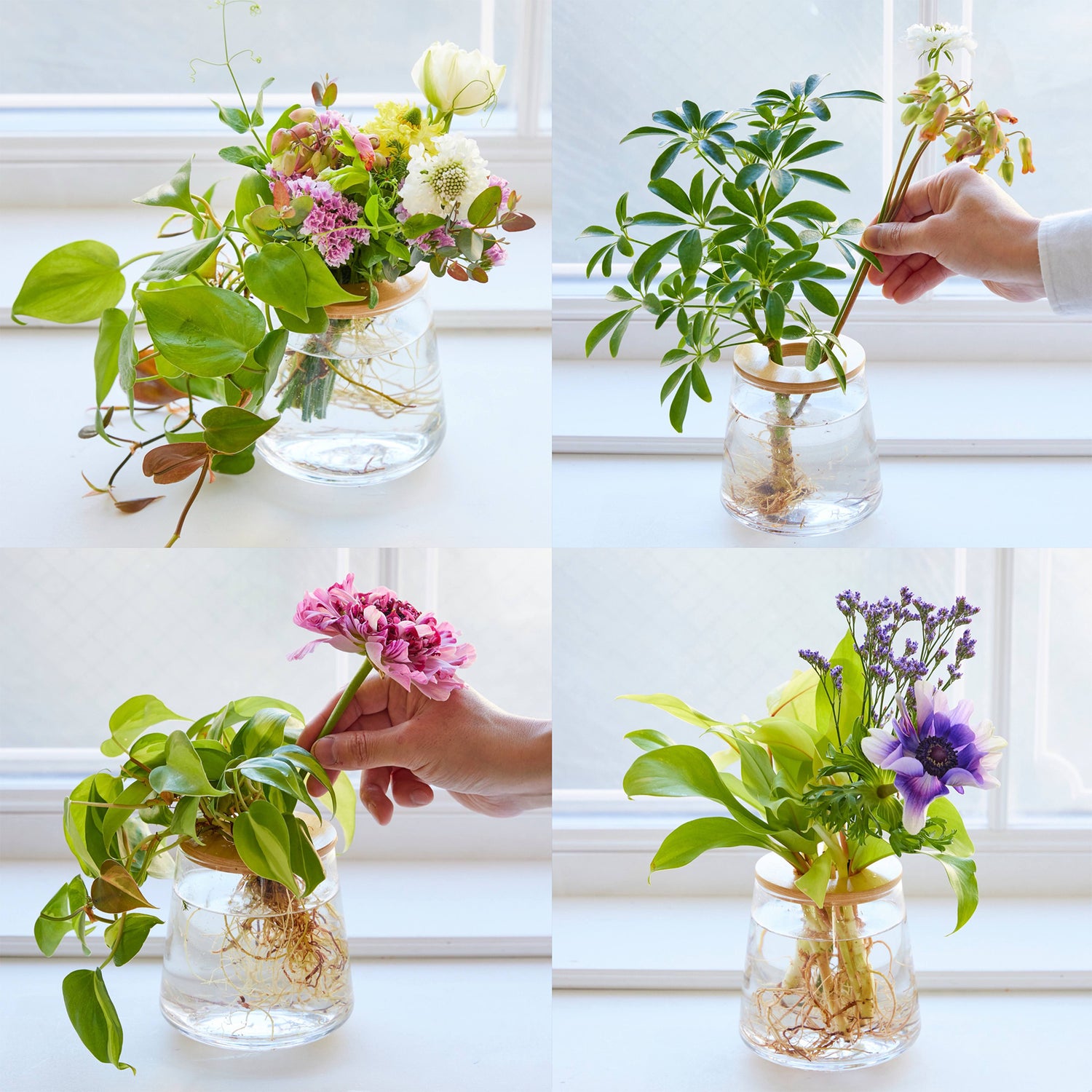 切り花と一緒に飾るおとができる水耕栽培の観葉植物