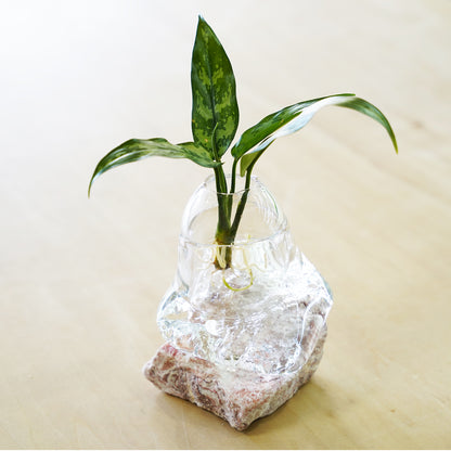 オリジナル植物Vase（石-1）