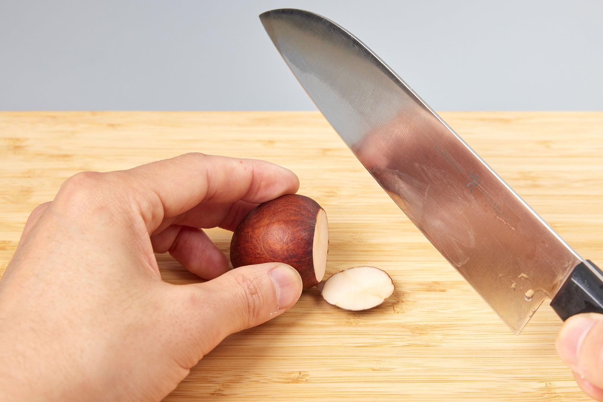 アボカドの種の水耕栽培